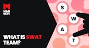 The SWAT Team in Software Engineering: What It Is and Why We Leverage It