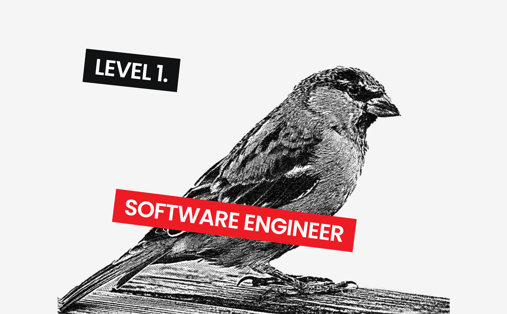 How Developer Seniority Level Matters to Software Development Cost