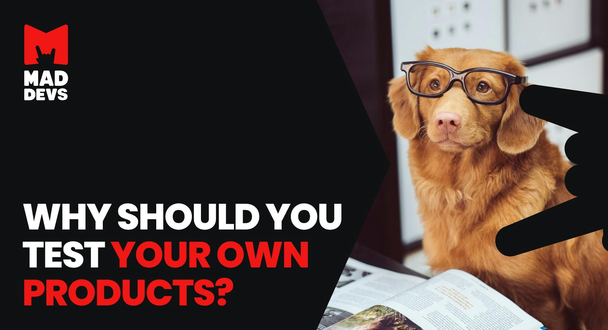 Dogfooding: Why Should You Test Your Own Products?