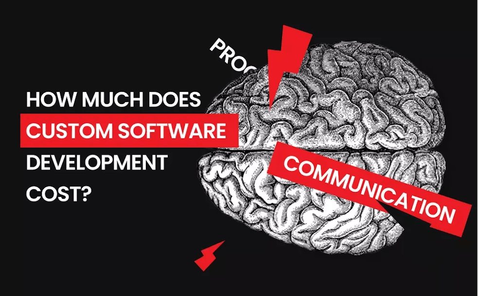 How much does custom software development cost