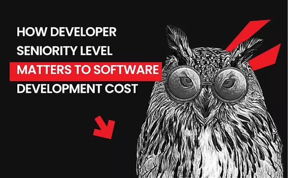 How Developer Seniority Level Matters to Software Development Cost