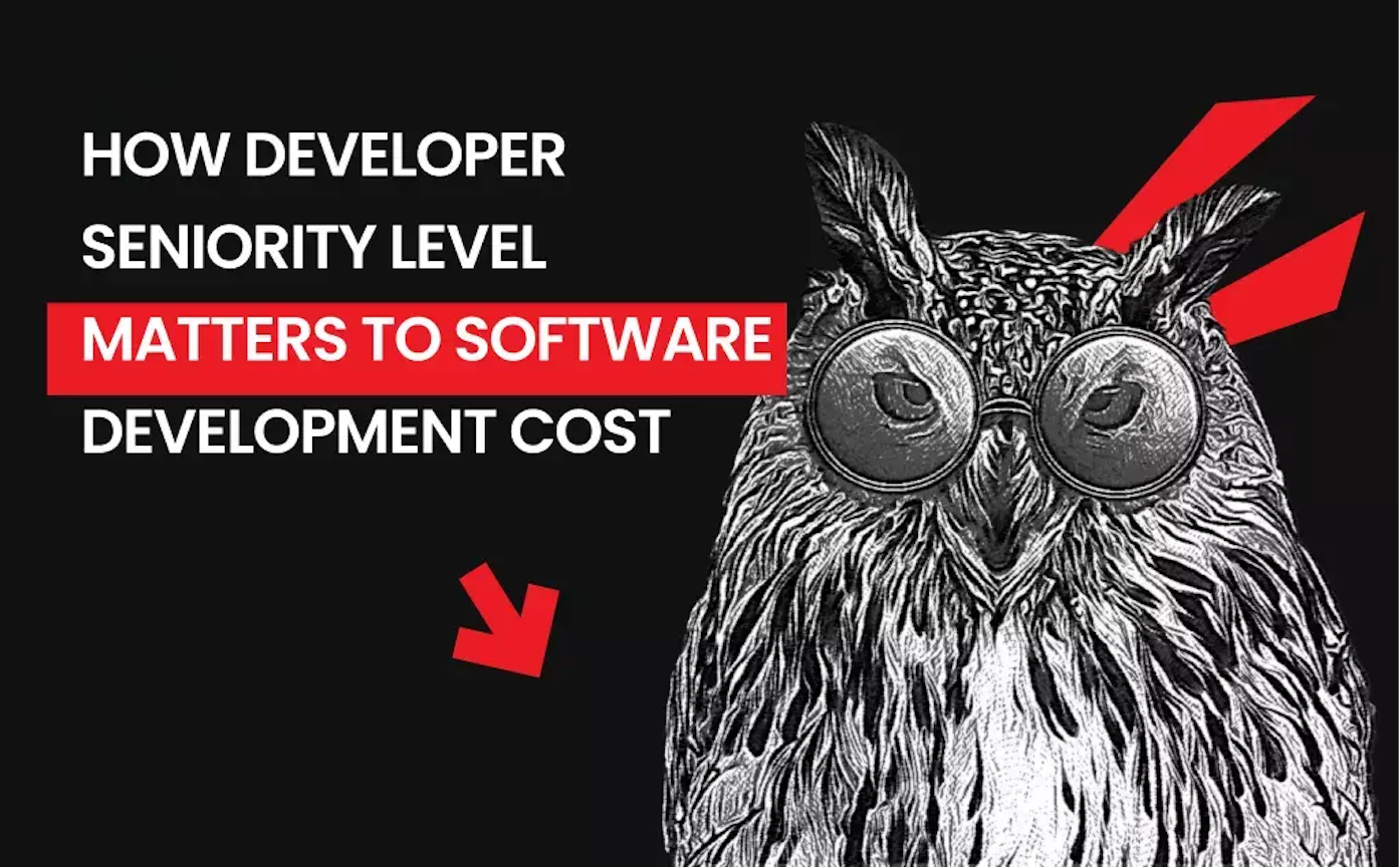 How Developer Seniority Level Matters to Software Development Cost