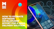 How to Estimate Software Development Efforts for a Drug Delivery Solution