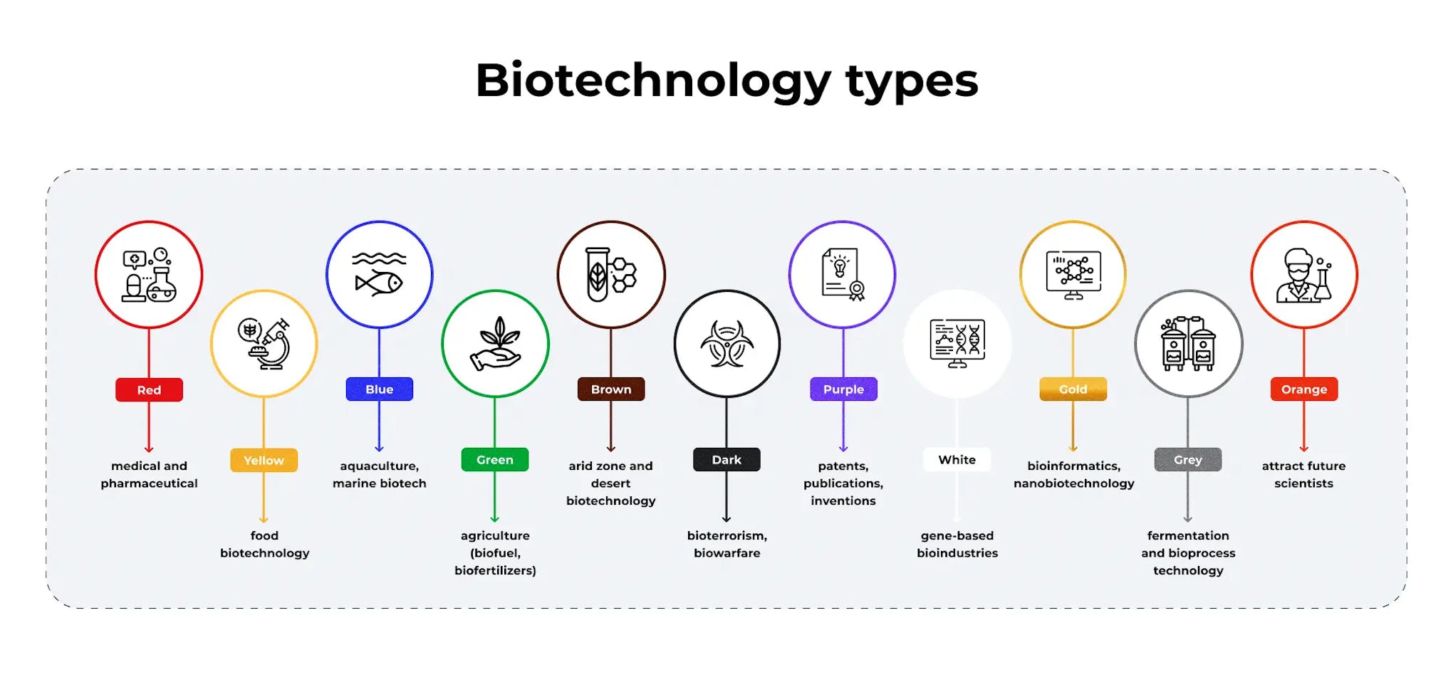 Types of Biotechnology Industries