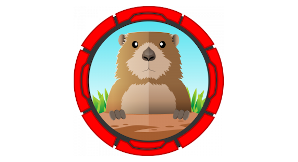 HTB Gofer