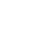 Business analysis stage