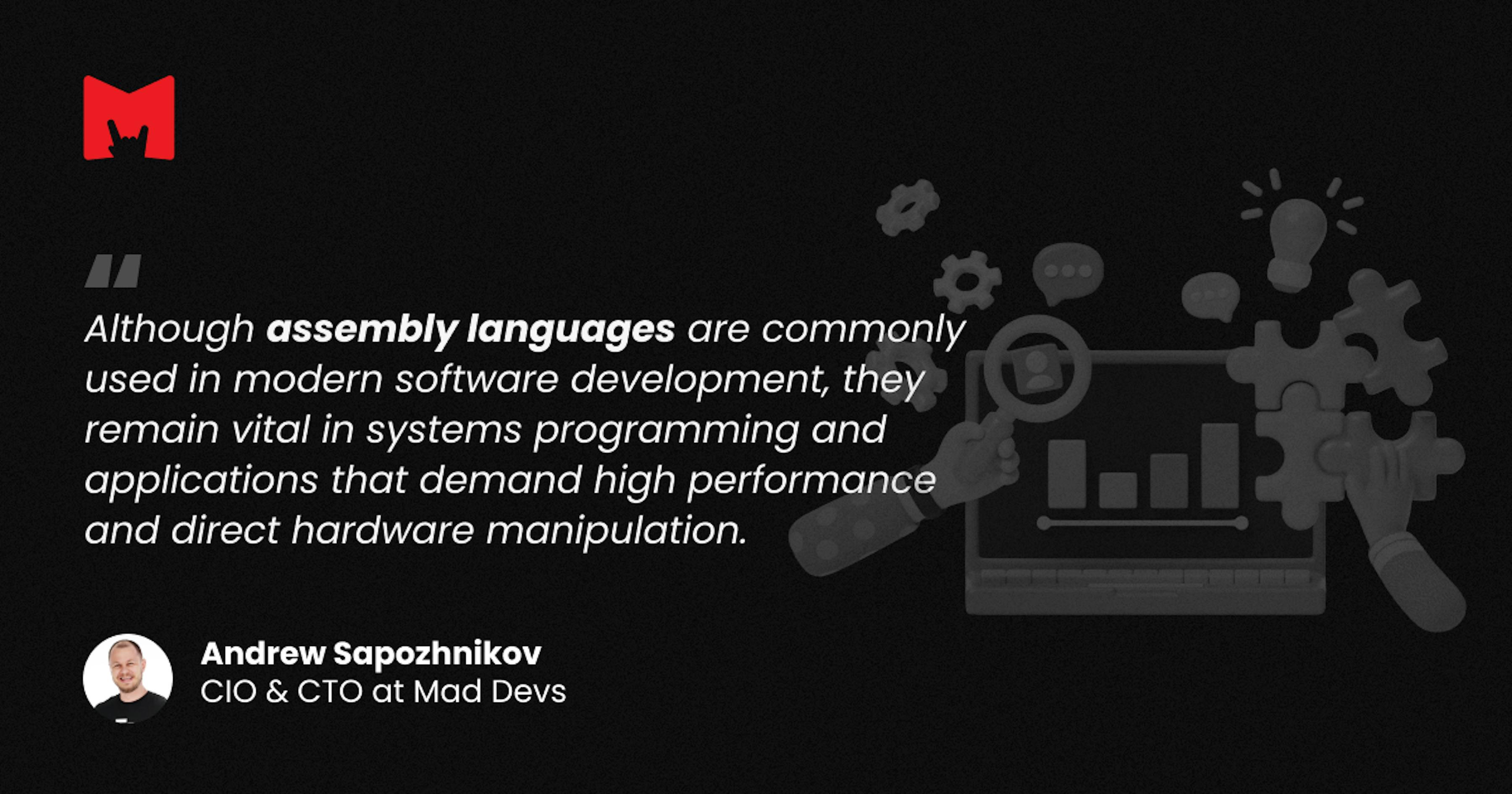 Assembly language in Mad Devs' CIO & CTO interpretation.