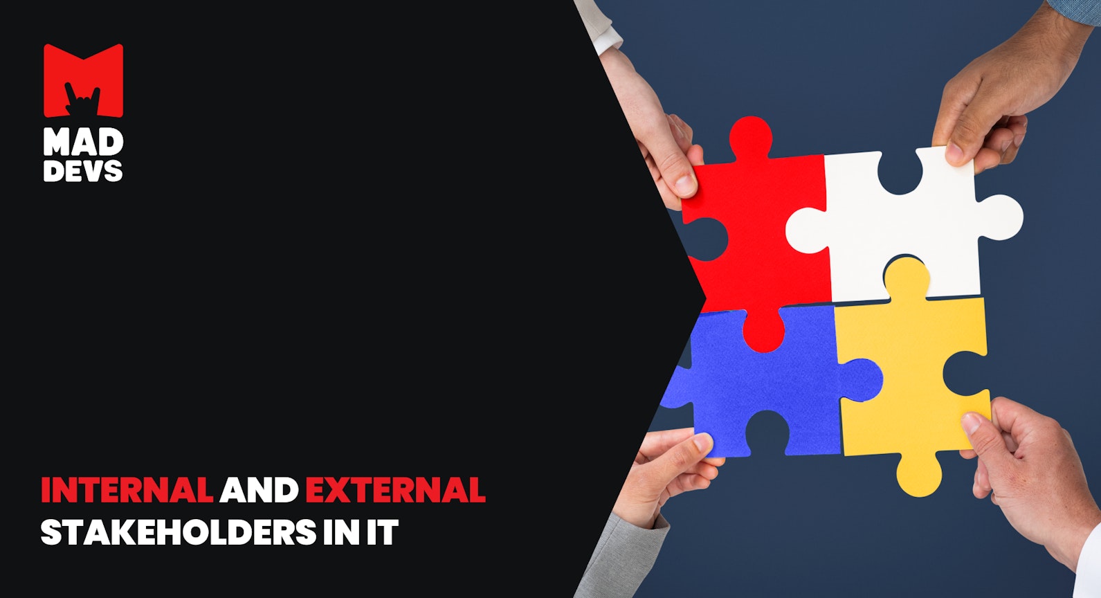Internal and external stakeholders in IT projects.