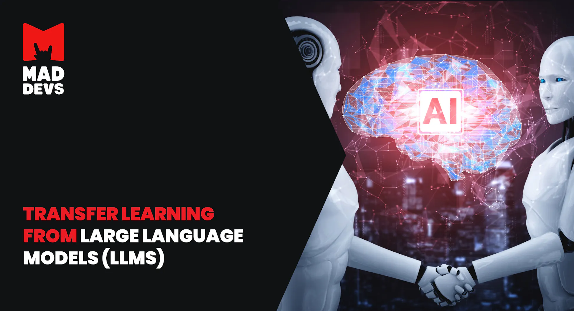 Transfer Learning from Large Language Models (LLMs)