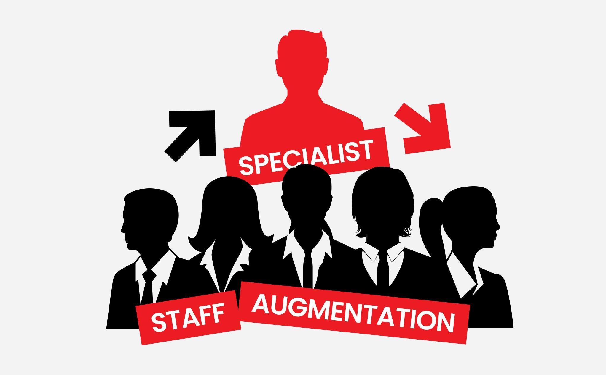 Software Development Staff Augmentation.