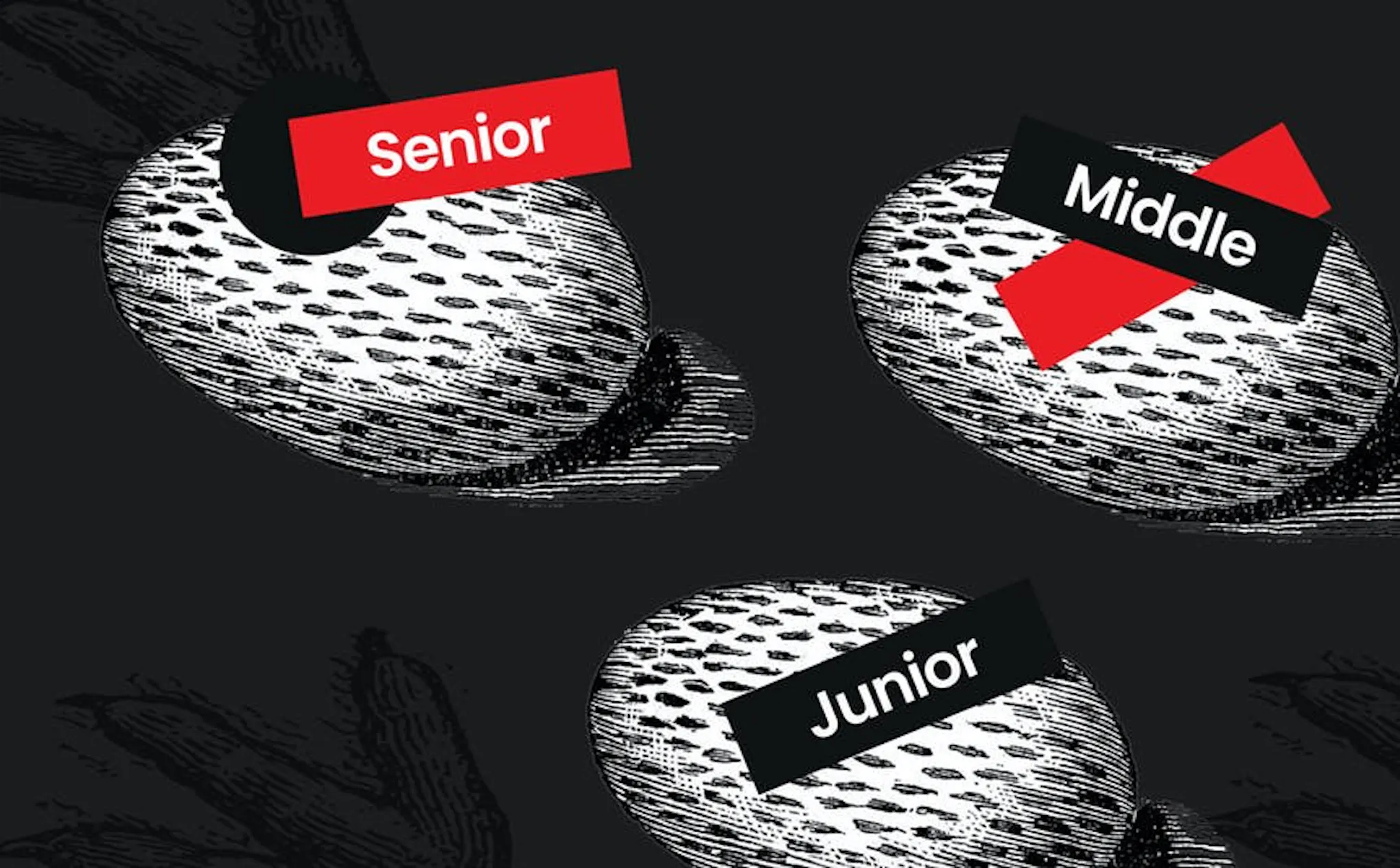 Seniority Development How Developer Seniority Level Matters to Software Development Cost