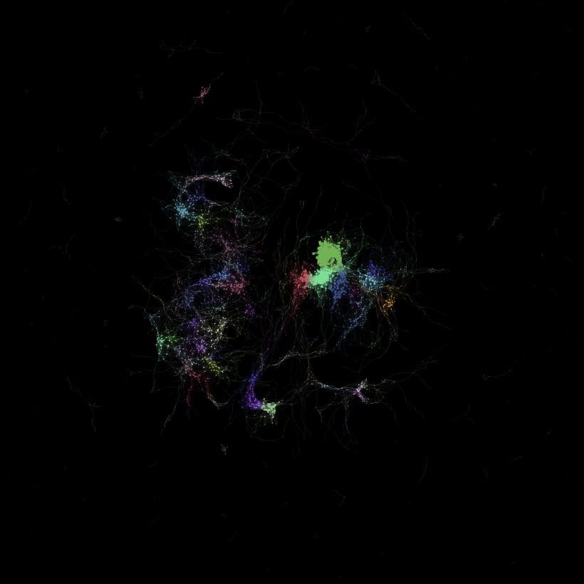 Screen Shot 2024-10-08 at 9.31.49 AM