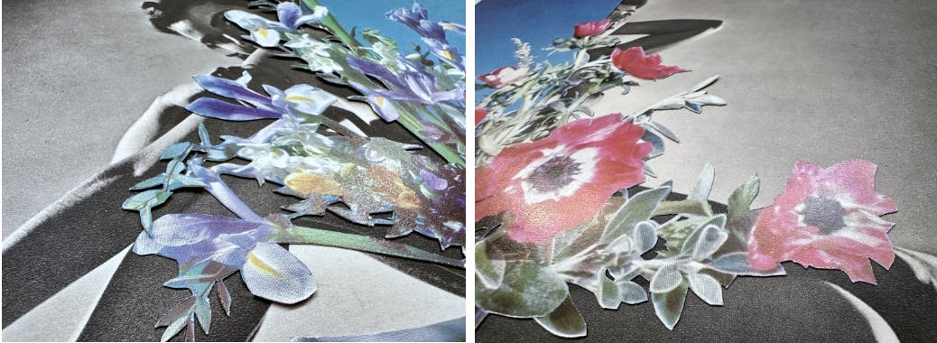 Screen Shot 2024-05-01 at 12.25.33 PM