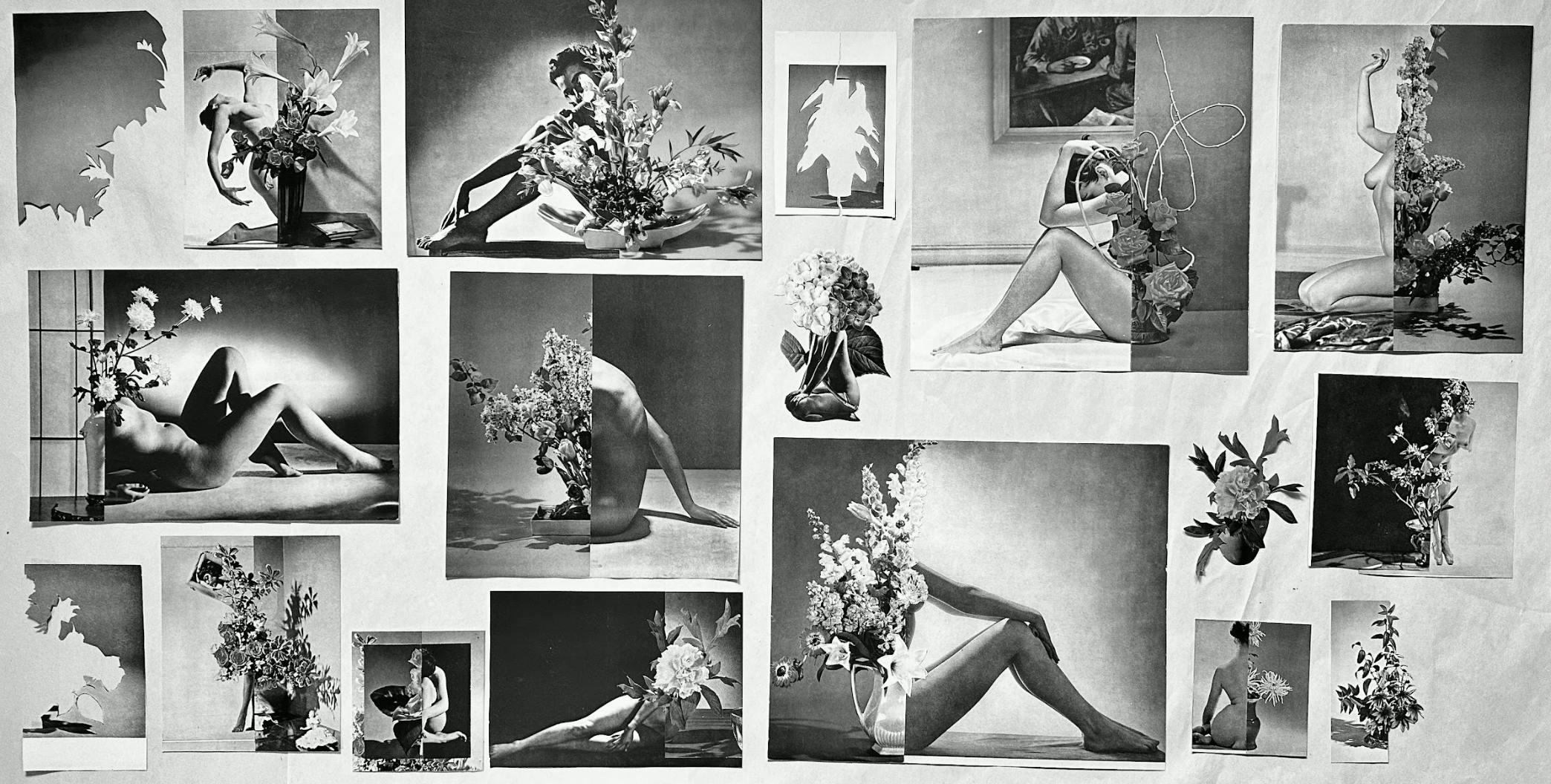 Screen Shot 2024-05-01 at 12.23.11 PM