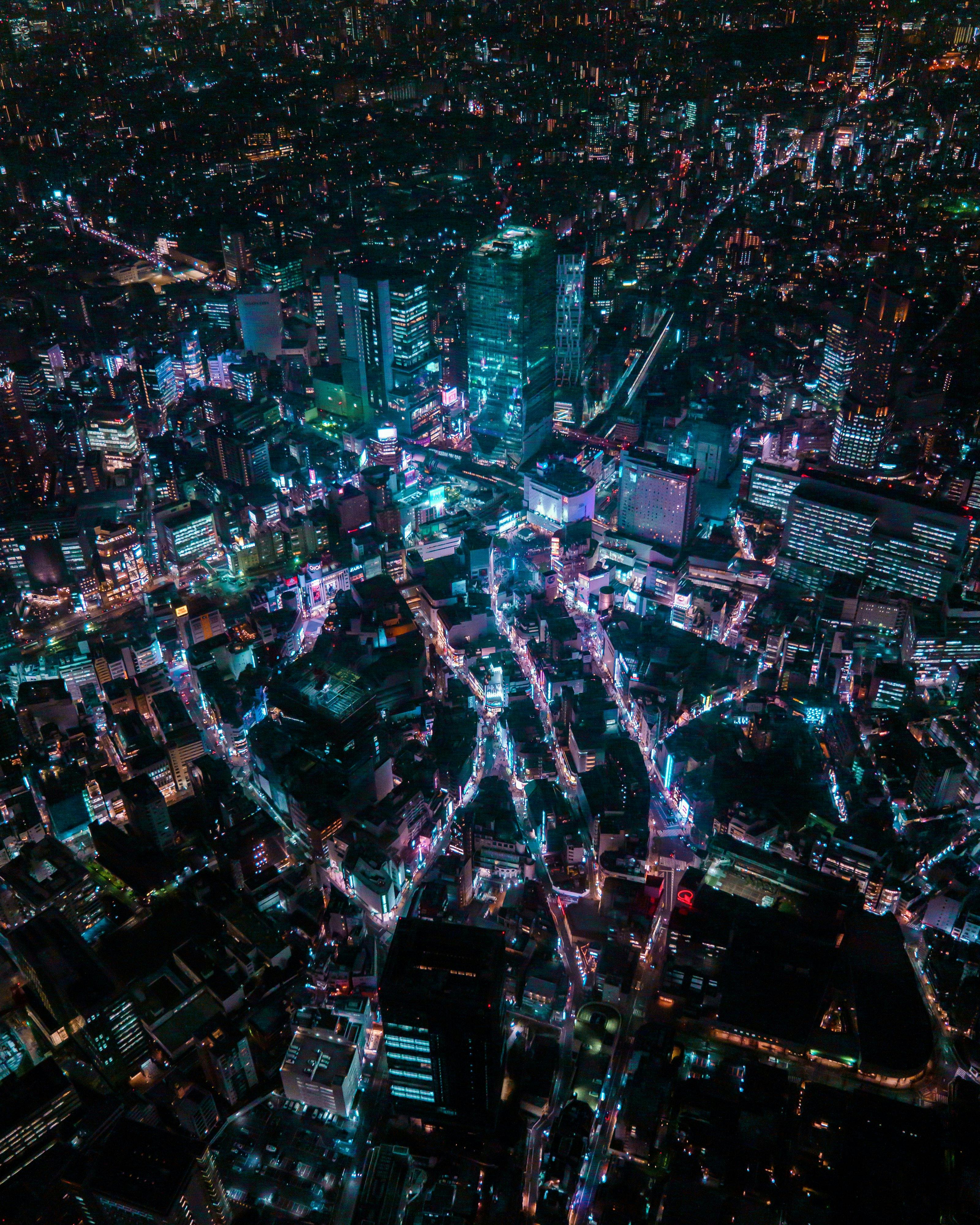 Neo Noir Tokyo Phosphorescence
