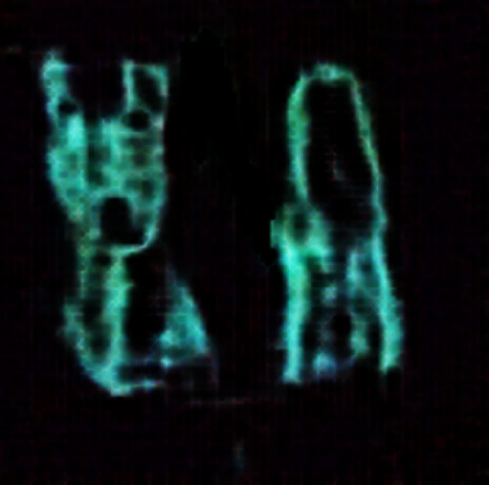 the entity meets homo sapien