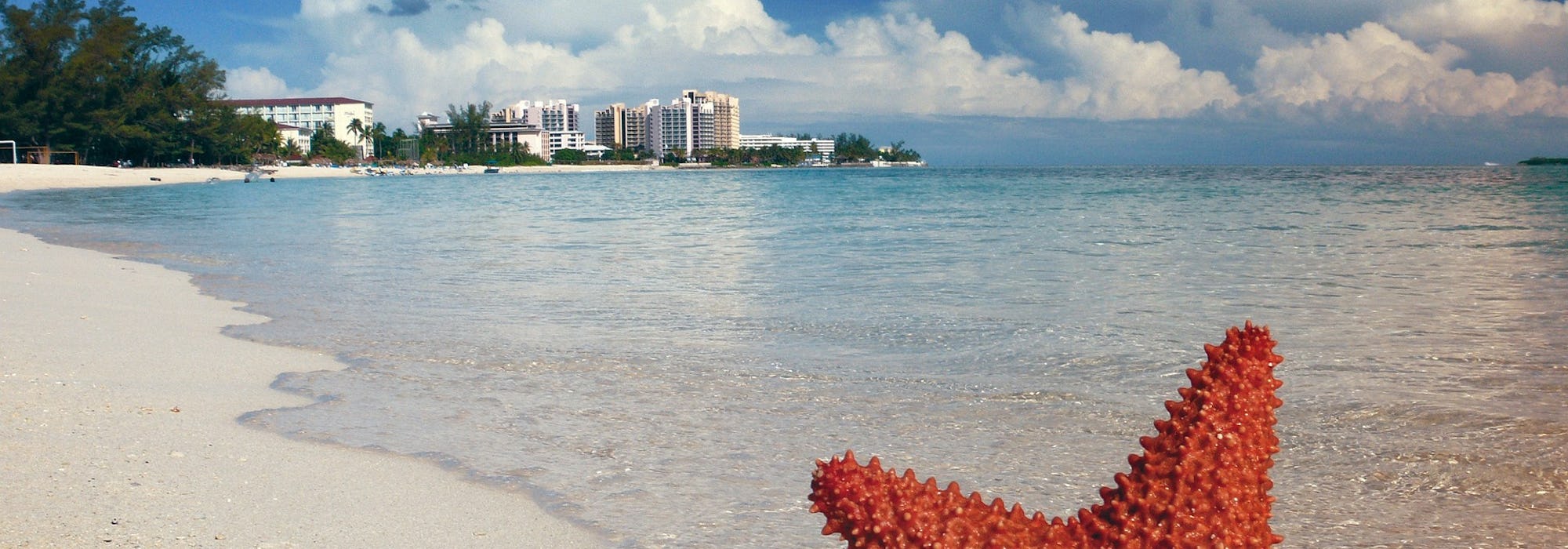 En sjöstjärna i stranden medan vågorna kommer in på stranden. I bakgrunden ses flera byggnader.