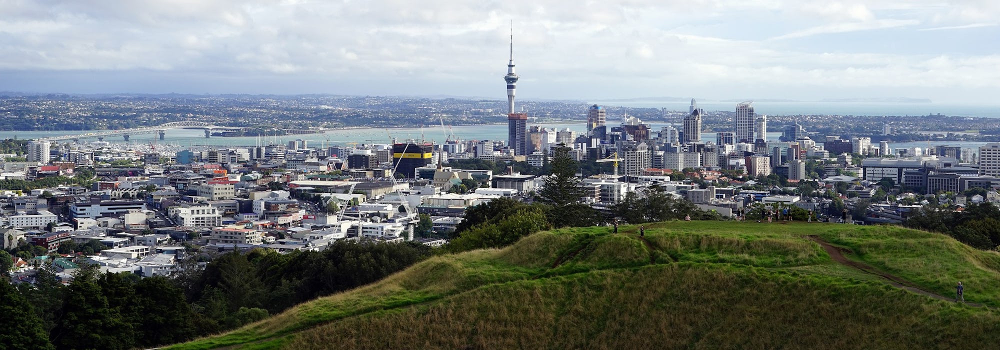 Aucklands skyline med höga byggnader, vatten och grönska.