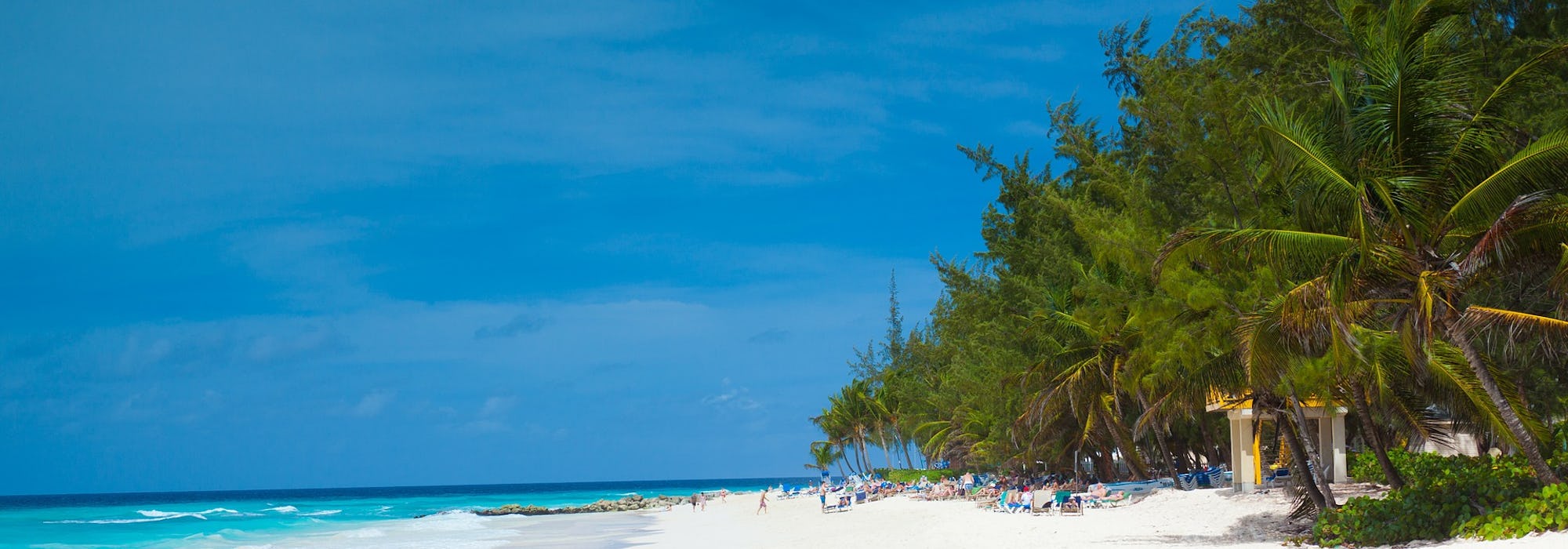 Bild på en snövit strand, palmer och ljusblått vatten i Barbados.