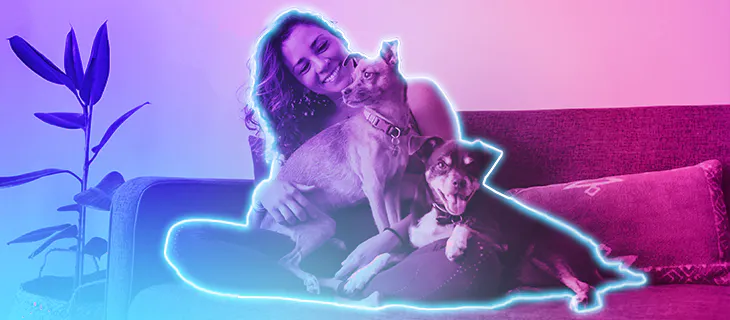 Información esencial sobre el cuidado de mascotas y la importancia de los seguros veterinarios. - Sur One