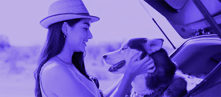 ¿Cómo elegir el seguro para su mascota?