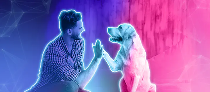 Hombre entrenando a su perro