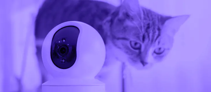 ¿Por qué instalar una cámara para vigilar a tus mascotas? - Sur One