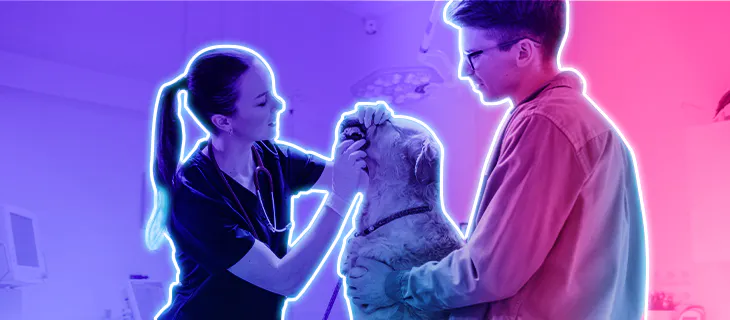 Guía sobre la frecuencia adecuada de visitas al veterinario para mantener la salud de tu mascota.
