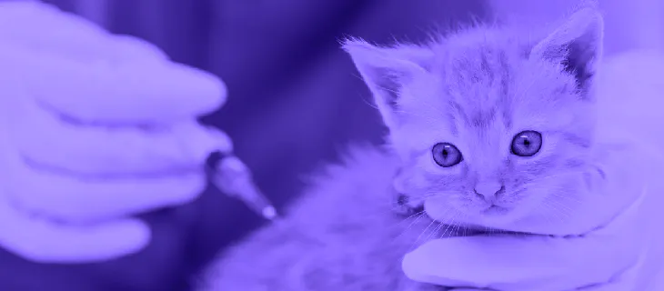 ¿Cada cuanto debo llevar a mi mascota al veterinario?