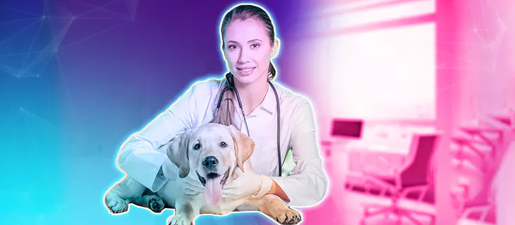 Seguros para Mascotas Una Guía Completa para Cuidar de Tu Compañero Animal