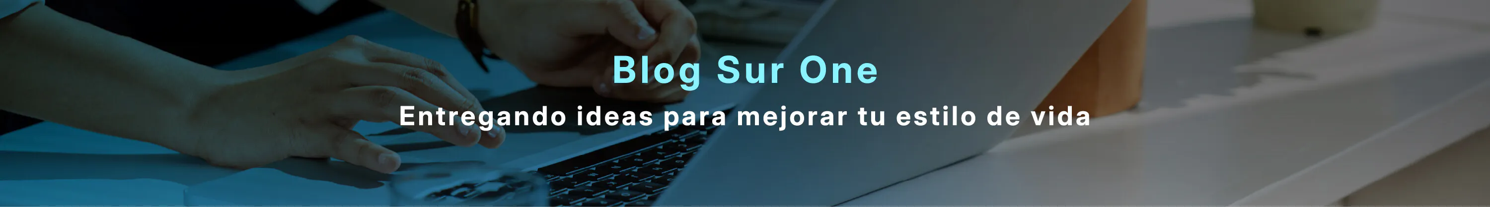 Blog Sur One
