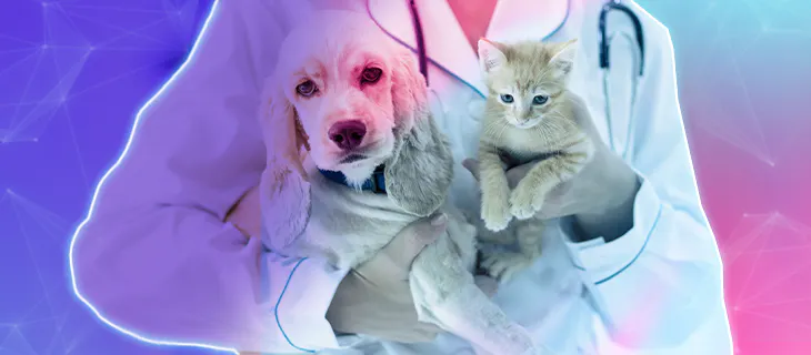 ¿Cómo elegir el seguro para su mascota? - Sur One