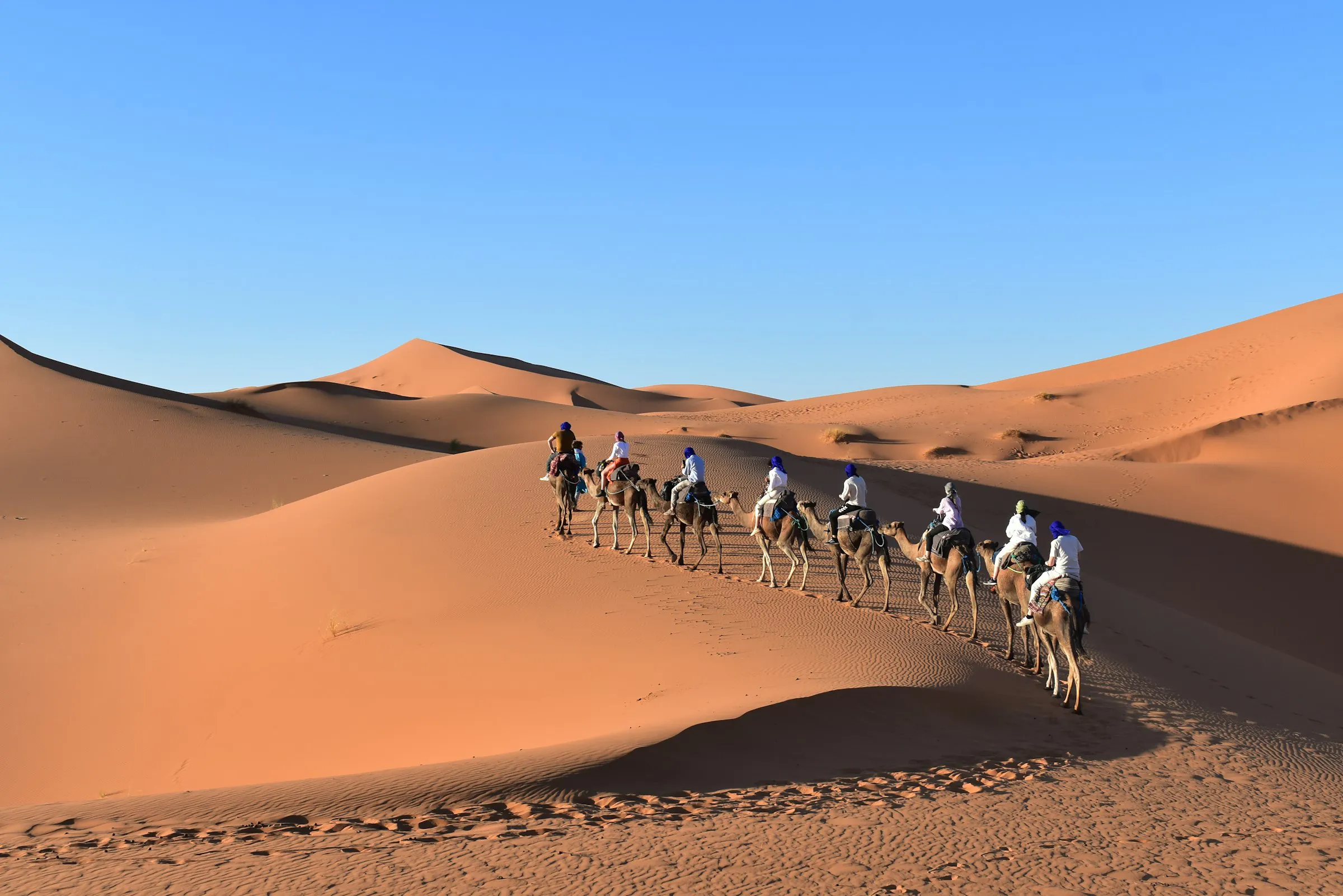 Caravana de dromedarios al atardecer en las dunas del Erg Chebbi, desierto del Sáhara
