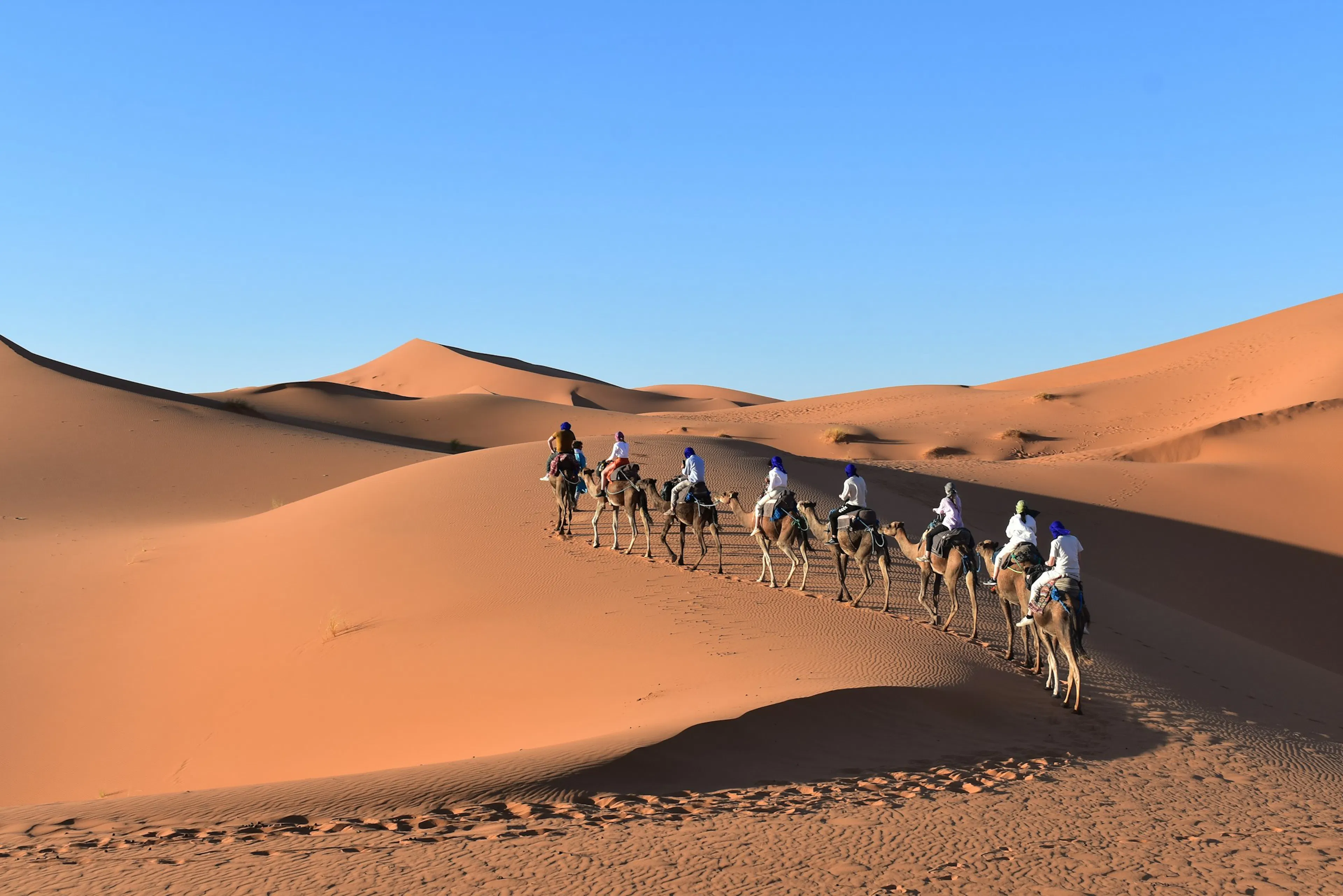 Caravana de dromedarios al atardecer en las dunas del Erg Chebbi, desierto del Sáhara