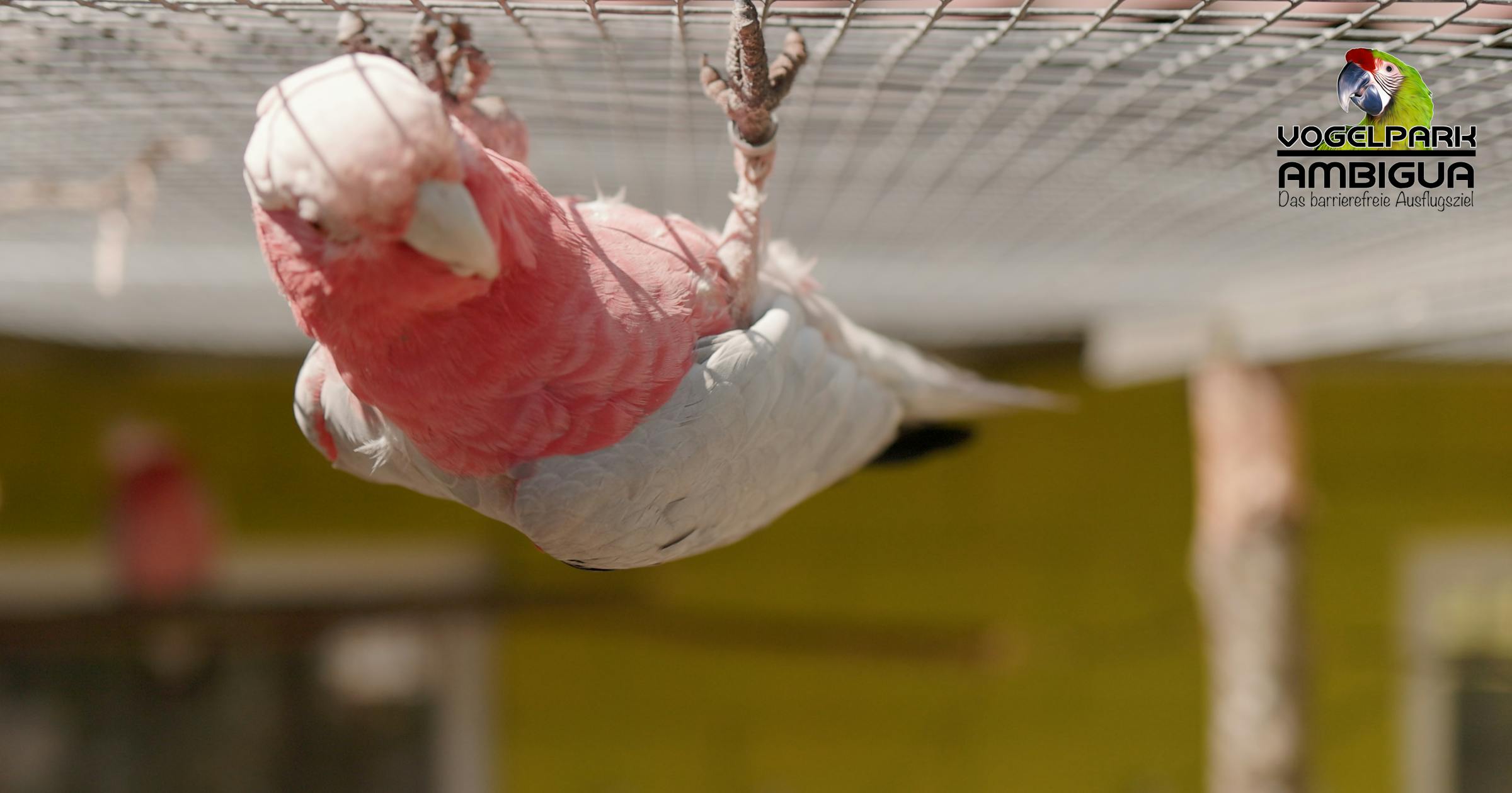 Videoproduktion KMU Bern