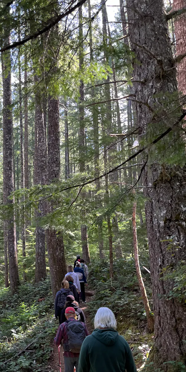 A quiet moment of reflection on a silent hike