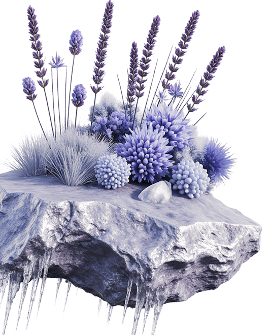 Rock with purple vegetation