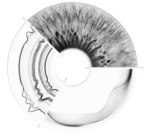 MR Dali - MR Multimodal interaction design