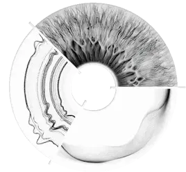 MR Dali - MR Multimodal interaction design