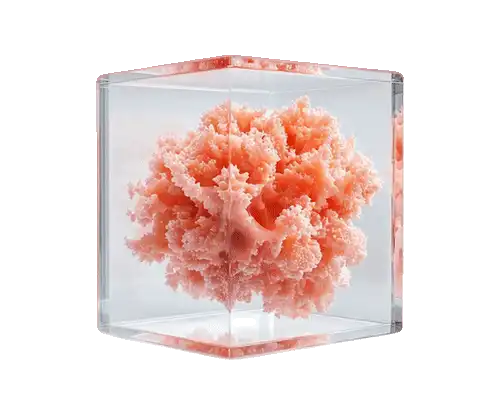 afca.ag — MR & Cloud Computing Custom Solutions