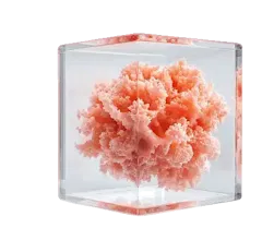 afca.ag — MR & Cloud Computing Custom Solutions