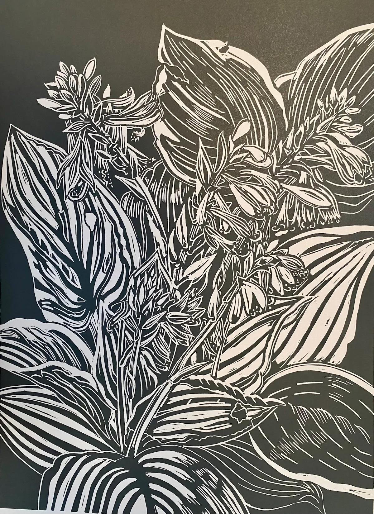 Hostas print