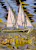Voiles  latines
