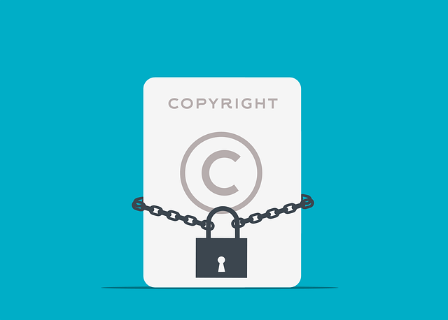 Intellectual property rights (IPR)
