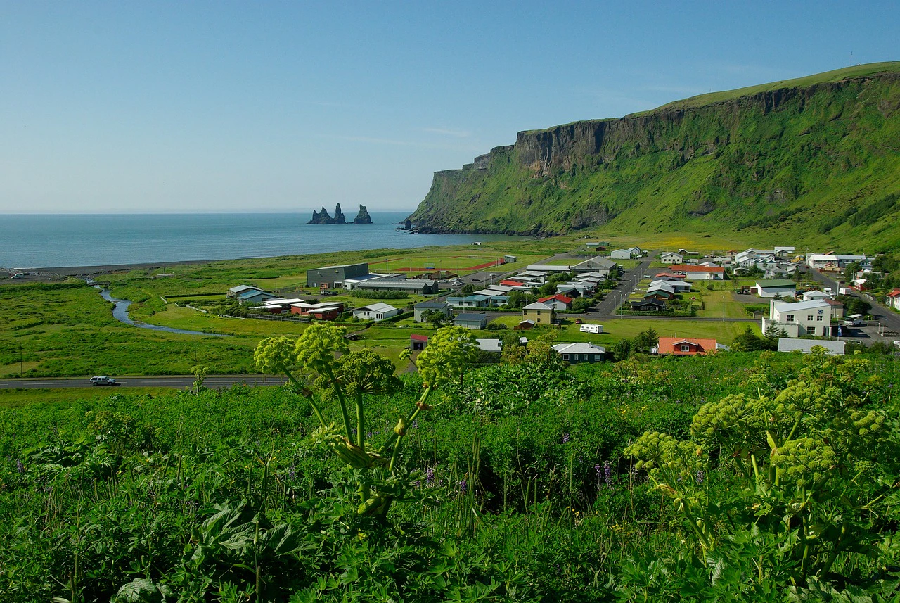 Demand for labour in Iceland 