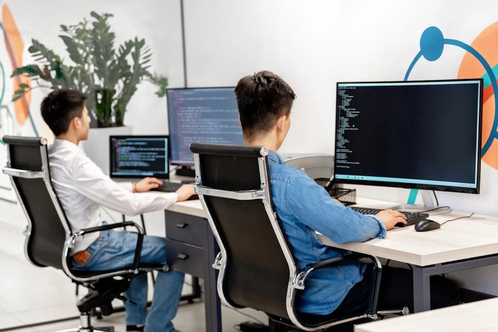 Two software developers working in an office