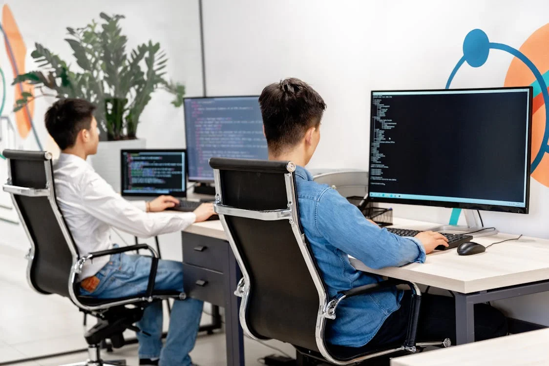 Two software developers working in an office