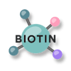 Biotin vector image