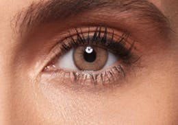 Dark brown eyes after wearing SWATI Sandstone - Brown Coloured lenses
