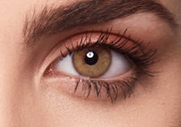 Brown eyes after wearing SWATI Honey - Hazel Brown Coloured lenses